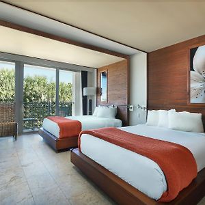 Modern Double Room